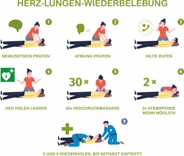 Herz-Lungen-Wiederbelebung Resucitation Flow Chart